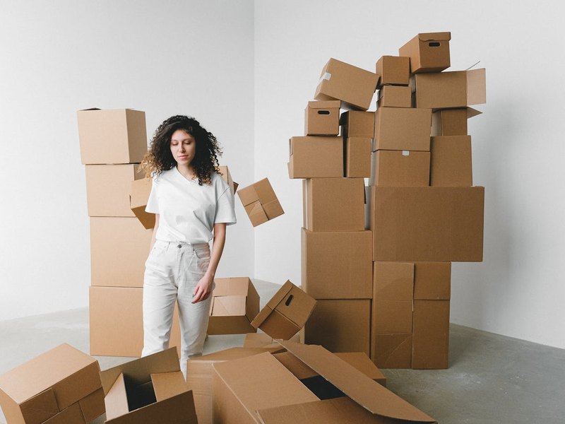 Payne Free Moving movers at work in Washington